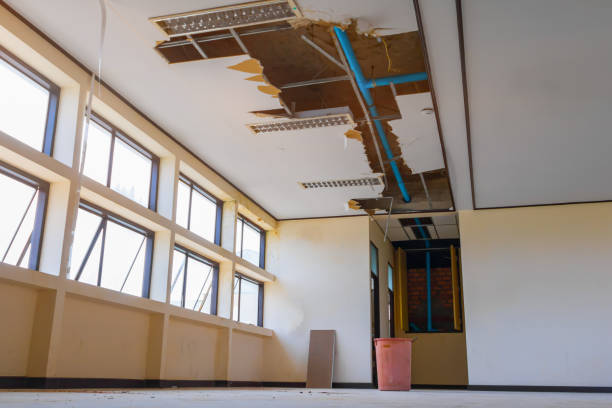 Best Flood restoration services  in Rich Hill, MO