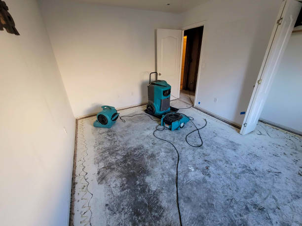  Rich Hill, MO Water damage restoration Pros