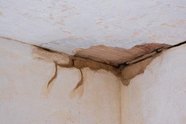 Best Commercial water damage restoration  in Rich Hill, MO