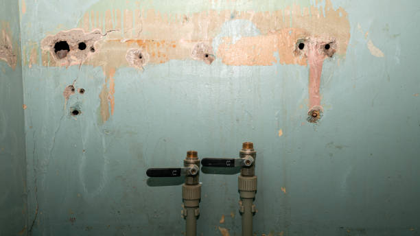 Best Professional water damage repair  in Rich Hill, MO